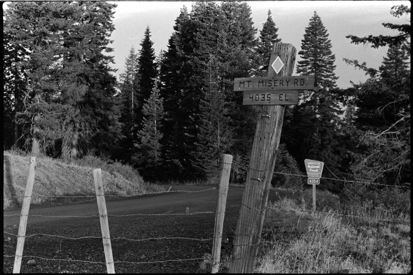 Blue Mountains: Misery Peak & Garfield County H.P.