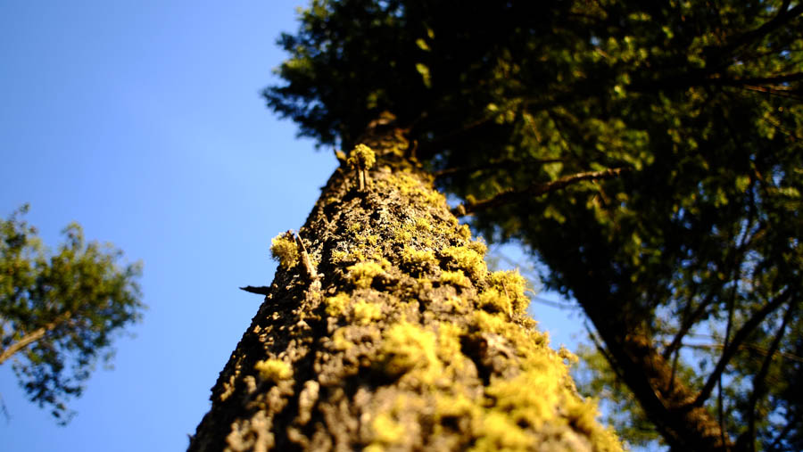 Overnight in McCroskey